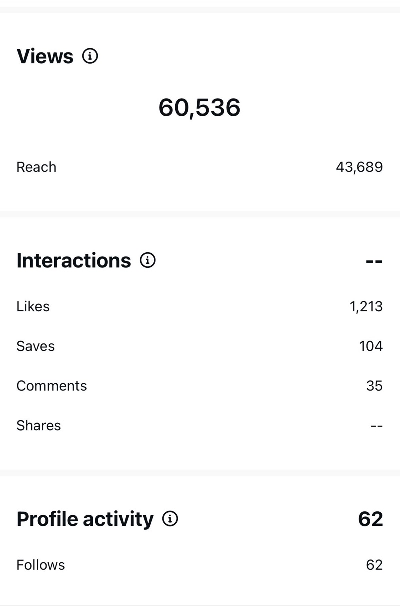 Screenshot of the Instagram insights: 60,536 views, 1,213 likes